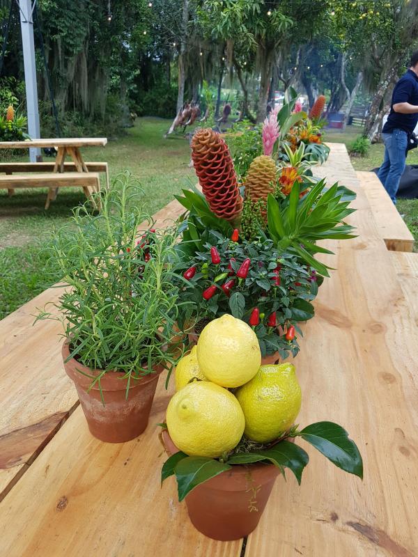 Participação da PMI Food Service na Churrascada