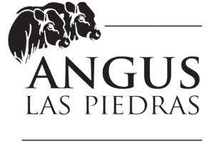 Las Piedras Angus