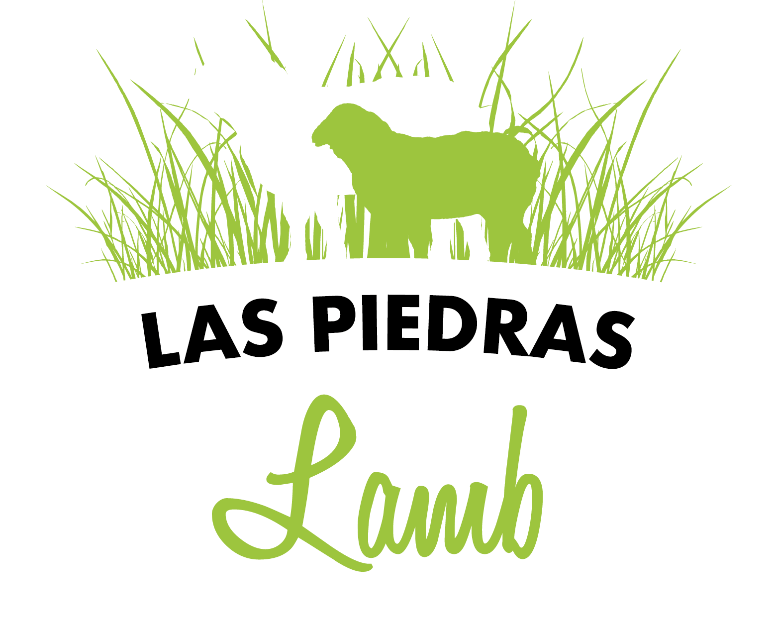 Las Piedras Lamb